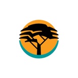 Evening team events